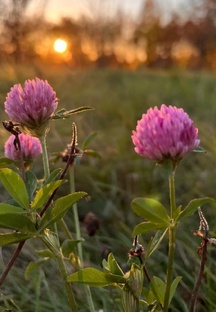 Добрый вечер!