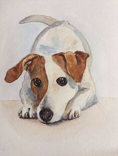 Братья наши меньшие