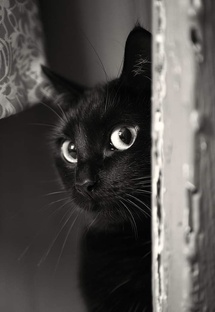 Мистика в моей жизни