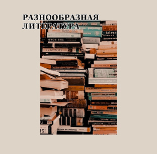 Иная литература 📚