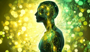 Питание по биоритмам