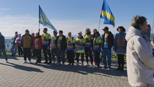 Моржи Анапы