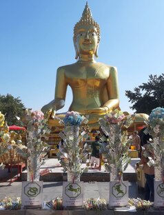 Путешествия