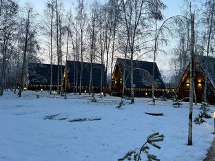 Аренда дома Новый год 2025