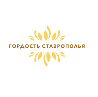 Проект "Гордость Ставрополья"