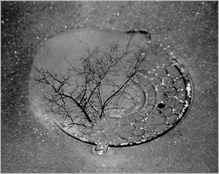 Для ознакомления