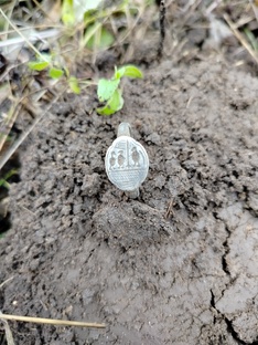 Хобби для души..