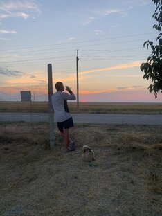 Дача в Крыму