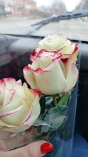 Влоги о жизни