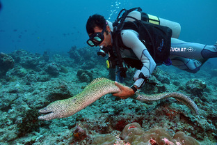 Морские обитатели