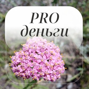 Деньги в семье