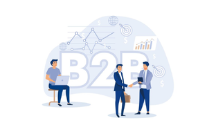 Реклама Яндекс Директ для B2B