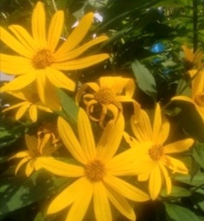 Октябрь месяц 2025