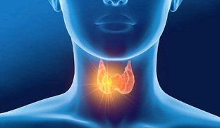 Эндокринология