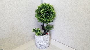 Анонсы видео( весна 2026г.))а