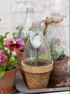 Лайфхаки для цветоводов