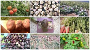 Овощное ассорти