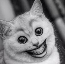 Просто посмеяться