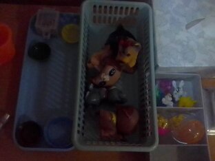 Все видео про моих собак 