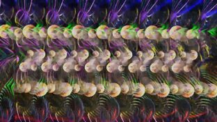 3D стереограммы