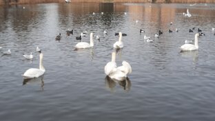  Моим читателям печатные публикации 