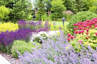 Сады для жизни