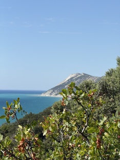 Большой Утриш: живой музей древней природы