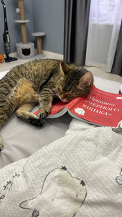 Рубрика #читает_smosk