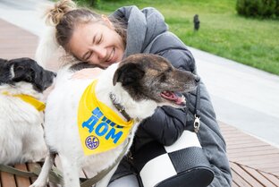 «ЗООзащита» — это мы!