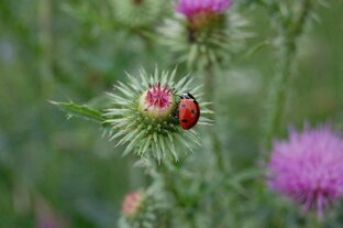 Расскажи что-нибудь.