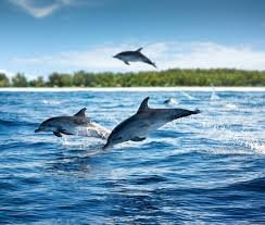 Интересное видео.