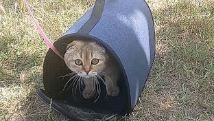 Путешествие