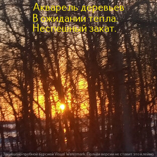 Дорога - дорога... (хайку - верлибры)