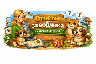 Ответы от заводчика