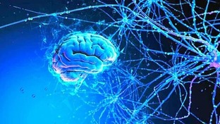 Физиология