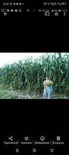 Истории моей жизни