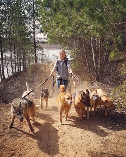 Самые красивые и интересные места Ленинградской области 