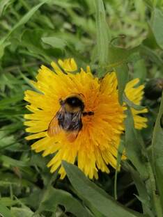 Природа - это наш дом, наша красота и наша жизнь... 