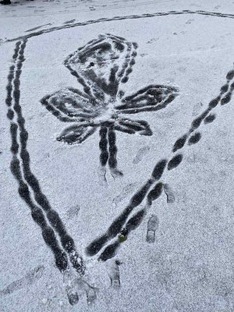 Рисование для начинающих.