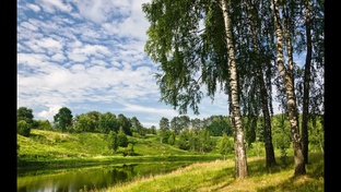 Задачи из жизни