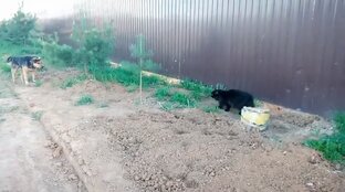 Редкие события