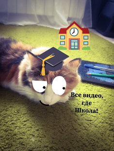Все видео, где Школа!