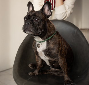 Любителям французов ❤️