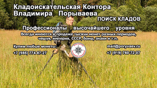 https://dzen.ru/poryvaev.ru