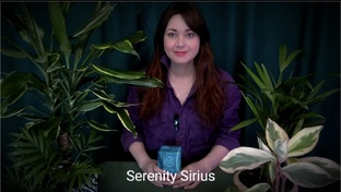 ПОСЛАНИЕ АНГЕЛОВ👼