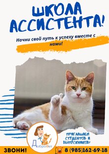 Обучение 