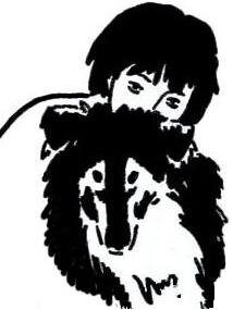 Жизнь с колли. Просто о нашей жизни.