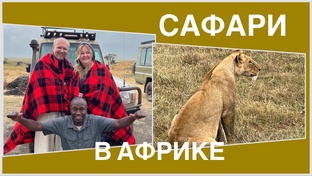 Занзибар и Танзания 2023. Сафари в Африке!