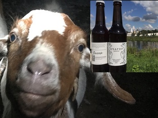 Важнейшие элементы  для питания  козы