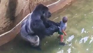 Сердце с когтями и клыками